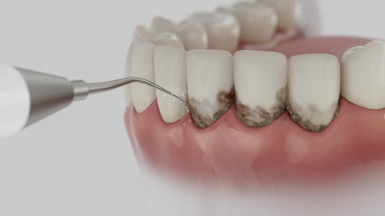 Reliable Dental contractor in Fort Polk South, LA by Dentist Open Now